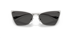 Ochelari de soare Jimmy Choo JC4019B 300287