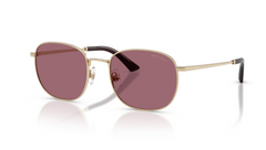 Ochelari de soare Jimmy Choo JC4025B 30061A