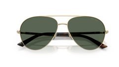 Ochelari de soare Jimmy Choo JC4026 300671