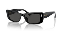 Ochelari de soare Jimmy Choo JC5002BU 500087
