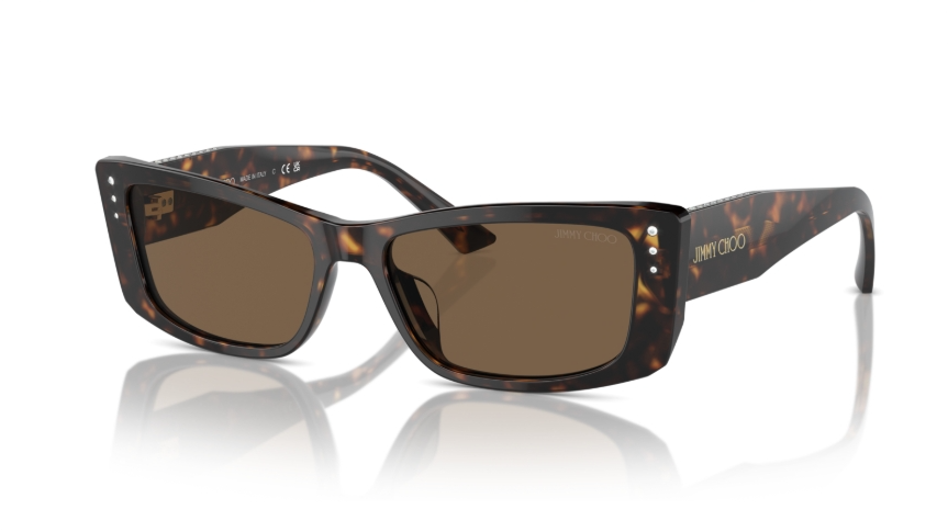 Ochelari de soare Jimmy Choo JC5002BU 500273