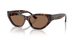 Ochelari de soare Jimmy Choo JC5022B 500273