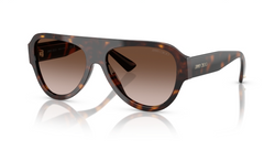 Ochelari de soare Jimmy Choo JC5027 500213