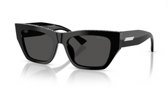 Ochelari de soare Jimmy Choo JC5035B 500087