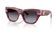 Ochelari de soare Jimmy Choo JC5039BU 50648G