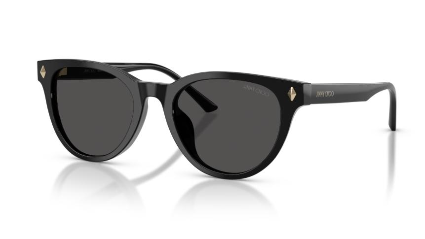 Ochelari de soare Jimmy Choo JC5043D 500087