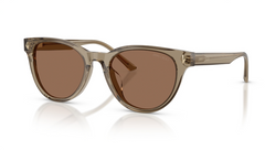 Ochelari de soare Jimmy Choo JC5043D 505173