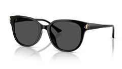 Ochelari de soare Jimmy Choo JC5057D 500087