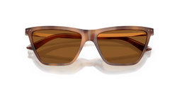 Ochelari de soare Jimmy Choo JC5059U 509673
