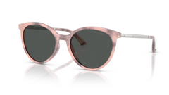 Ochelari de soare Jimmy Choo JC5060 509887