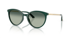 Ochelari de soare Jimmy Choo JC5060 510019