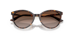 Ochelari de soare Jimmy Choo JC5060 500213