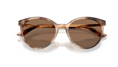 Ochelari de soare Jimmy Choo JC5060 509773