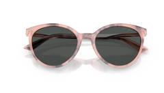 Ochelari de soare Jimmy Choo JC5060 509887