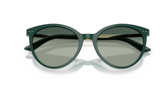 Ochelari de soare Jimmy Choo JC5060 510019