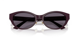 Ochelari de soare Jimmy Choo JC5064D 50751A