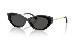 Ochelari de soare Jimmy Choo JC5065U 510387