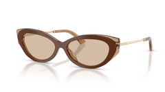 Ochelari de soare Jimmy Choo JC5065U 510593