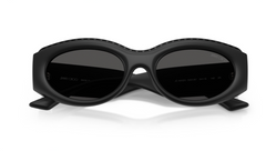 Ochelari de soare Jimmy Choo JC6002U 500187