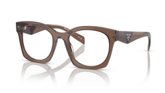 Rame de ochelari Prada PRA05V 170101