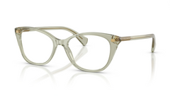 Rame ochelari Ralph RA7146 6279