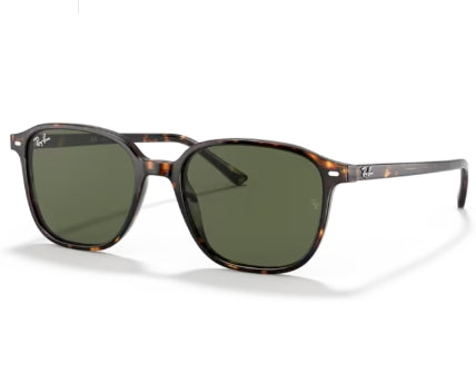 Ochelari de soare Ray-Ban Leonard RB2193 902/31