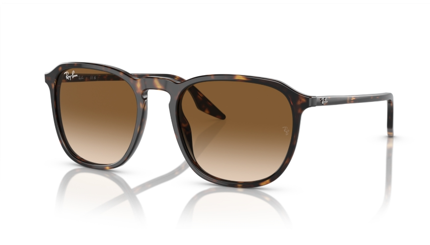 Ochelari de soare Ray-Ban RB2203 902/51