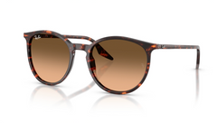Ochelari de soare Ray-Ban RB2204 14293B