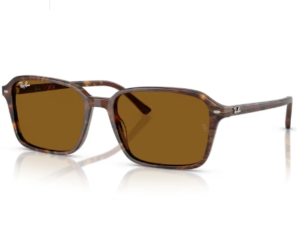 Ochelari de soare Ray-Ban RB2231 141833