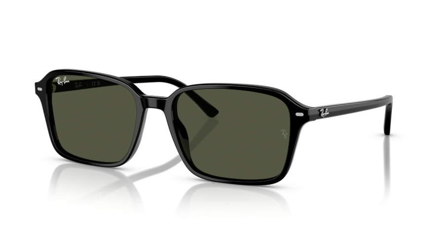 Ochelari de soare Ray-Ban RB2231 901/31