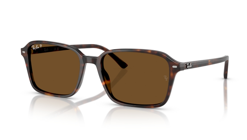 Ochelari de soare Ray-Ban RB2231 902/57 Polarizați