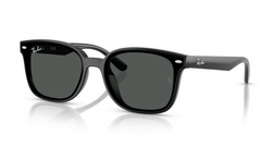 Ochelari de soare Ray-Ban RB4461D 601/87