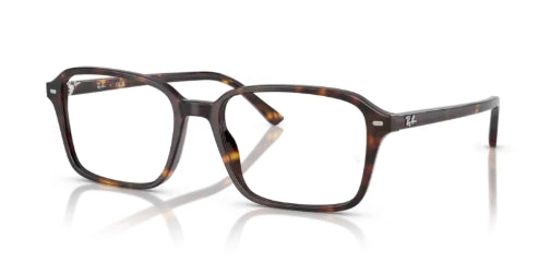 Rame de ochelari Ray-Ban RB5431 2012