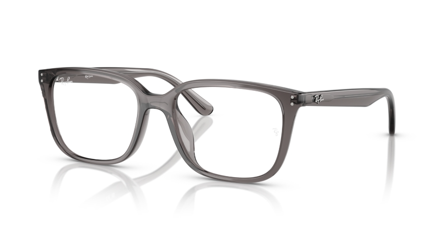 Rame de ochelari Ray-Ban RB7248D 8257