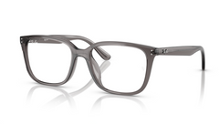 Rame de ochelari Ray-Ban RB7248D 8257