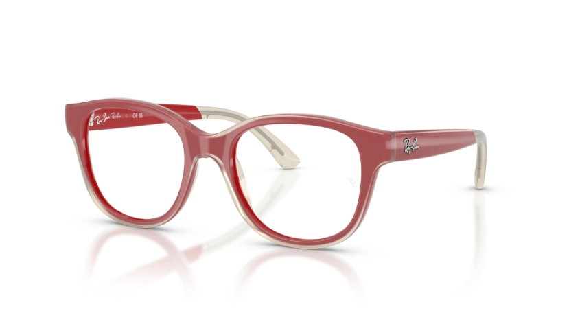 Rame de ochelari Ray-Ban RY1950 7204