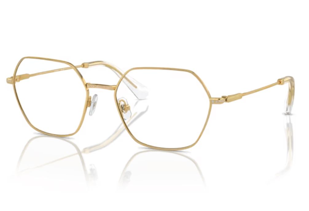 Rame de ochelari Swarovski SK1011 4004