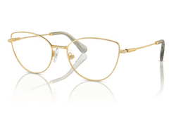 Rame de ochelari Swarovski SK1012 4004