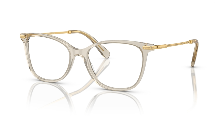 Rame de ochelari Swarovski SK2010 3003