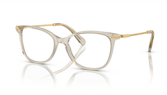 Rame de ochelari Swarovski SK2010 3003
