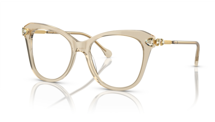 Rame de ochelari Swarovski SK2012 3003