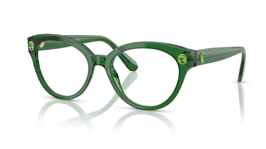 Rame de ochelari Swarovski SK2037 1064
