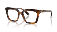 Rame de ochelari Swarovski SK2043 1002