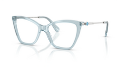 Rame de ochelari Swarovski SK2051 1065