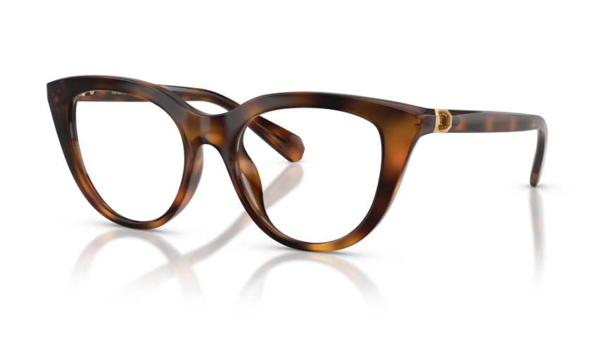 Rame de ochelari Swarovski SK2052 1002