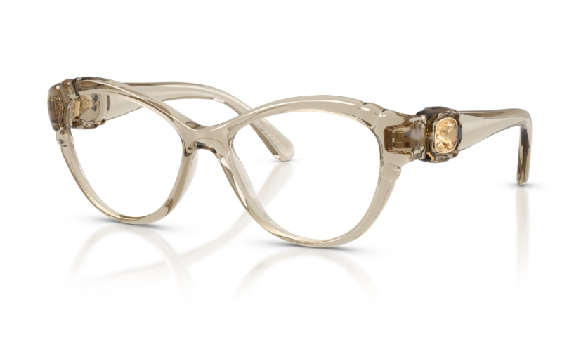 Rame de ochelari Swarovski SK2057 3003