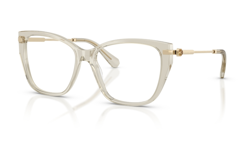 Rame de ochelari Swarovski SK2060 3003