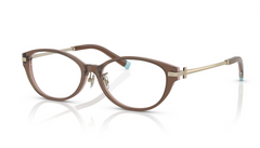 Rame ochelari Tiffany&Co TF2225D 8255