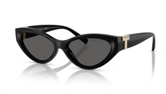 Ochelari de soare Tiffany&Co TF4225U 8001S4