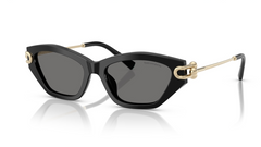 Ochelari de soare Tiffany&Co TF4231U 800181 Polarizati